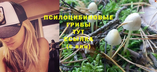 mdpv Ладушкин