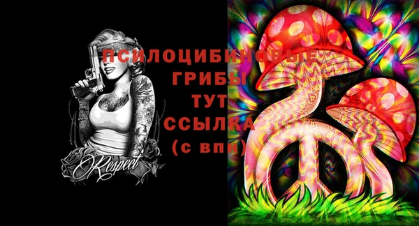 СК Куйбышев