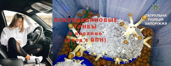 mdpv Ладушкин