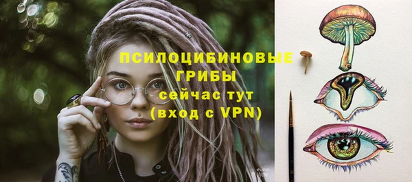 дмт Кукмор