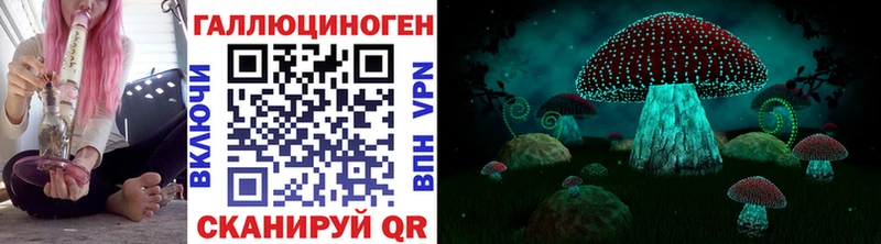 Псилоцибиновые грибы MAGIC MUSHROOMS  Купить  Межгорье 